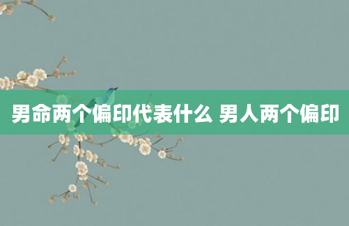 男命两个偏印代表什么 男人两个偏印