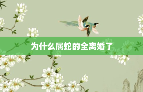 为什么属蛇的全离婚了