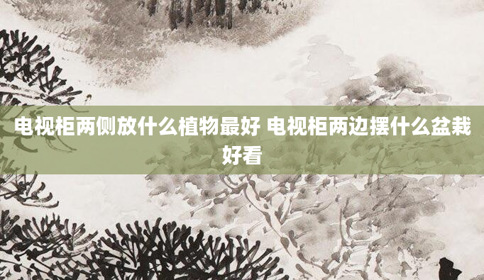 电视柜两侧放什么植物最好 电视柜两边摆什么盆栽好看