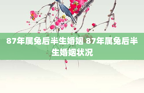87年属兔后半生婚姻 87年属兔后半生婚姻状况