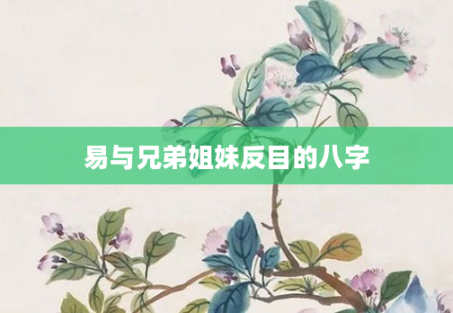 易与兄弟姐妹反目的八字