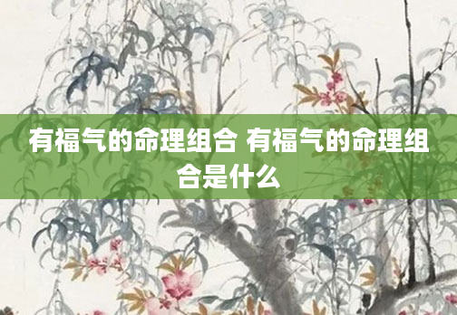 有福气的命理组合 有福气的命理组合是什么