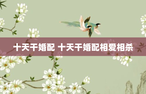 十天干婚配 十天干婚配相爱相杀