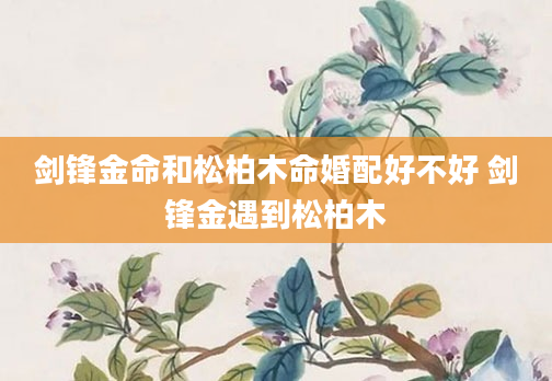 剑锋金命和松柏木命婚配好不好 剑锋金遇到松柏木
