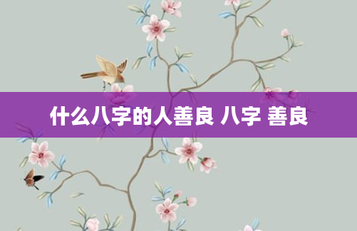 什么八字的人善良 八字 善良