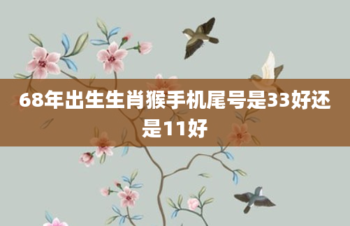 68年出生生肖猴手机尾号是33好还是11好