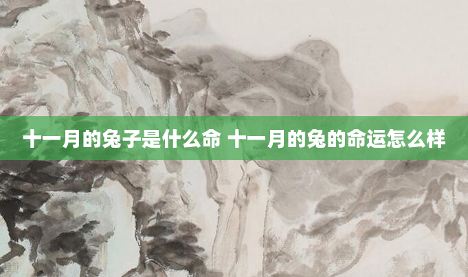 十一月的兔子是什么命 十一月的兔的命运怎么样