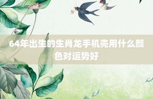 64年出生的生肖龙手机壳用什么颜色对运势好