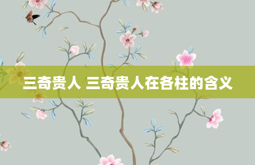三奇贵人 三奇贵人在各柱的含义