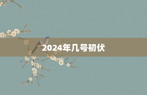 2024年几号初伏