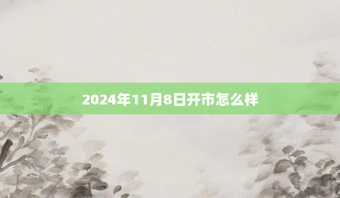 2024年11月8日开市怎么样