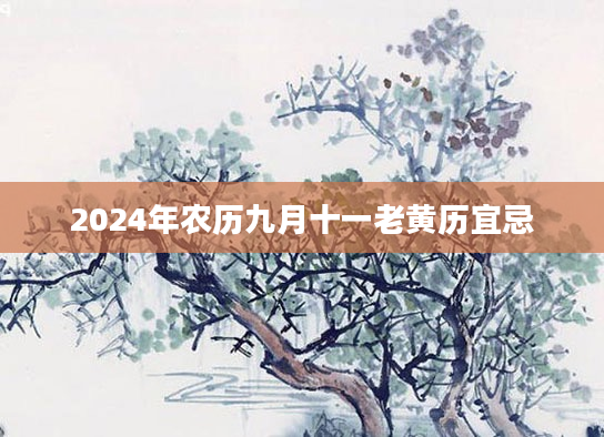 2024年农历九月十一老黄历宜忌