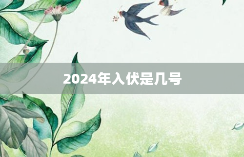 2024年入伏是几号