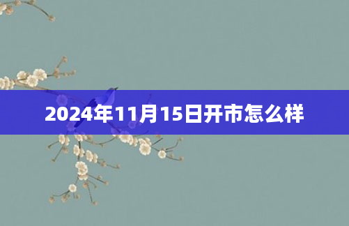 2024年11月15日开市怎么样