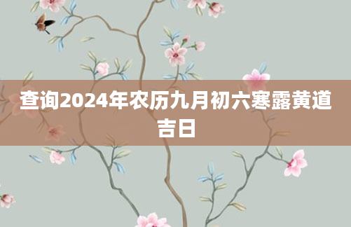 查询2024年农历九月初六寒露黄道吉日