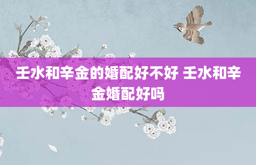 壬水和辛金的婚配好不好 壬水和辛金婚配好吗