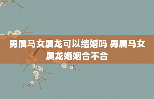 男属马女属龙可以结婚吗 男属马女属龙婚姻合不合