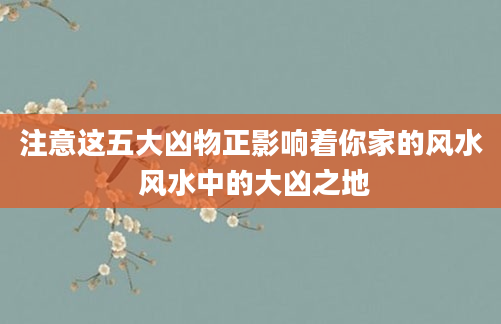 注意这五大凶物正影响着你家的风水 风水中的大凶之地