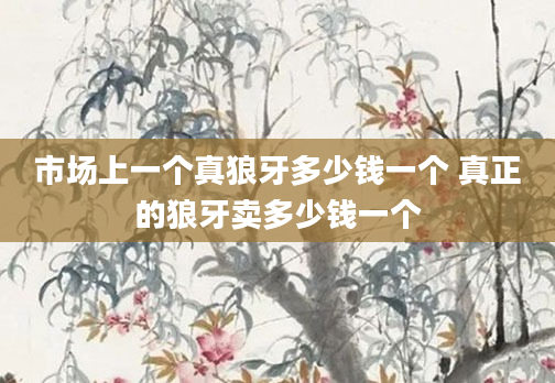 市场上一个真狼牙多少钱一个 真正的狼牙卖多少钱一个