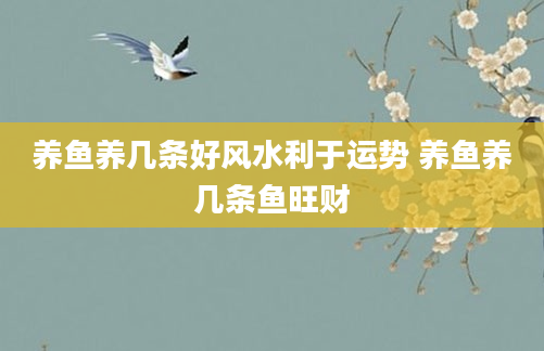 养鱼养几条好风水利于运势 养鱼养几条鱼旺财