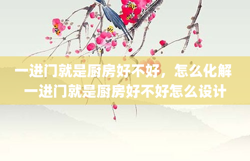 一进门就是厨房好不好，怎么化解 一进门就是厨房好不好怎么设计