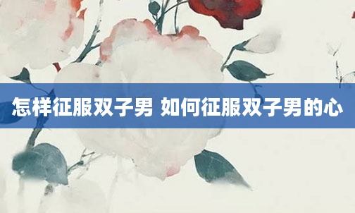 怎样征服双子男 如何征服双子男的心