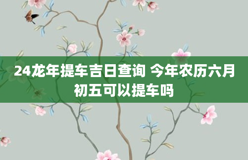 24龙年提车吉日查询 今年农历六月初五可以提车吗