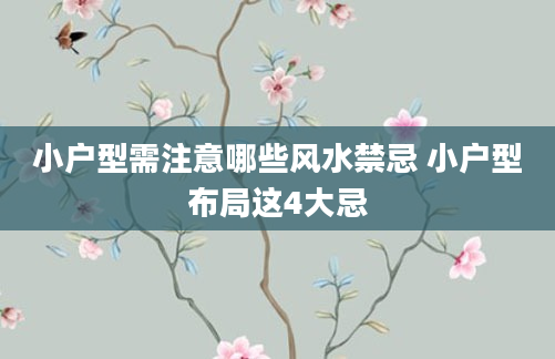 小户型需注意哪些风水禁忌 小户型布局这4大忌