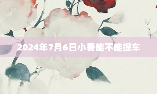 2024年7月6日小暑能不能提车