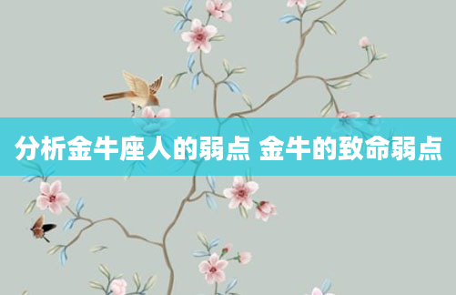 分析金牛座人的弱点 金牛的致命弱点