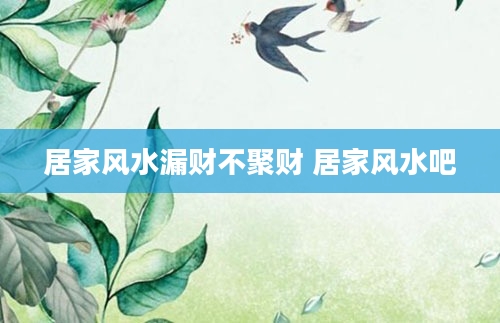 居家风水漏财不聚财 居家风水吧
