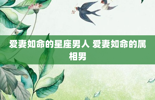 爱妻如命的星座男人 爱妻如命的属相男