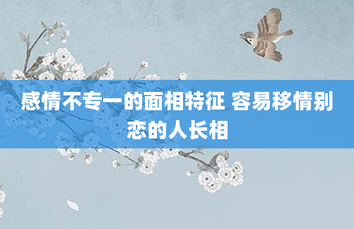 感情不专一的面相特征 容易移情别恋的人长相
