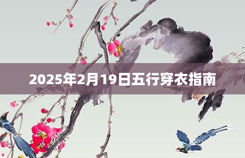 2025年2月19日五行穿衣指南