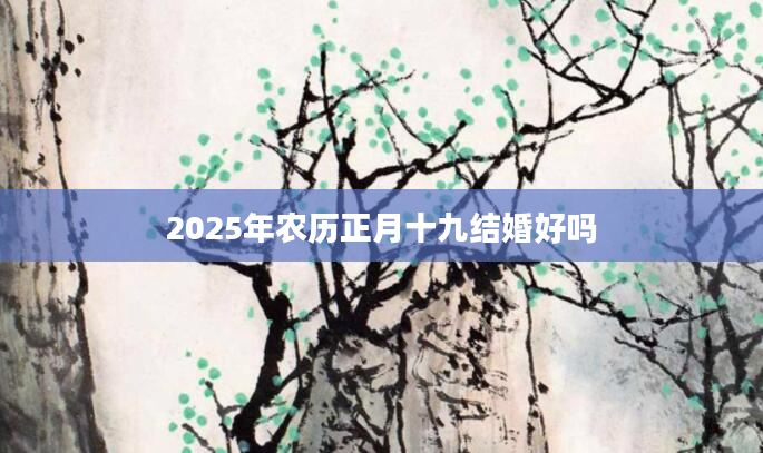 2025年农历正月十九结婚好吗