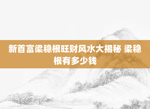 新首富梁稳根旺财风水大揭秘 梁稳根有多少钱