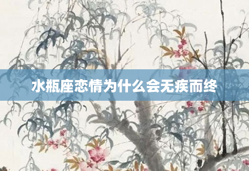 水瓶座恋情为什么会无疾而终