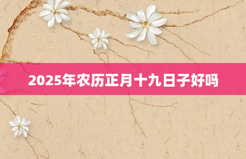 2025年农历正月十九日子好吗