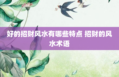 好的招财风水有哪些特点 招财的风水术语