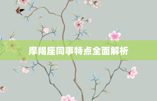 摩羯座同事特点全面解析