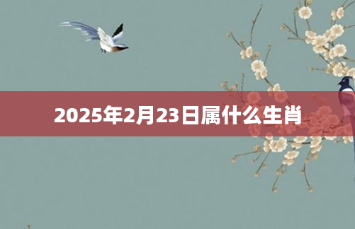 2025年2月23日属什么生肖