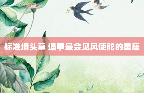 标准墙头草 遇事最会见风使舵的星座