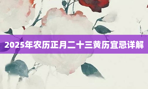 2025年农历正月二十三黄历宜忌详解