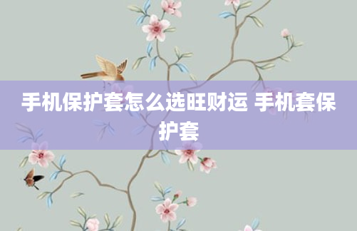 手机保护套怎么选旺财运 手机套保护套