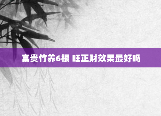 富贵竹养6根 旺正财效果最好吗