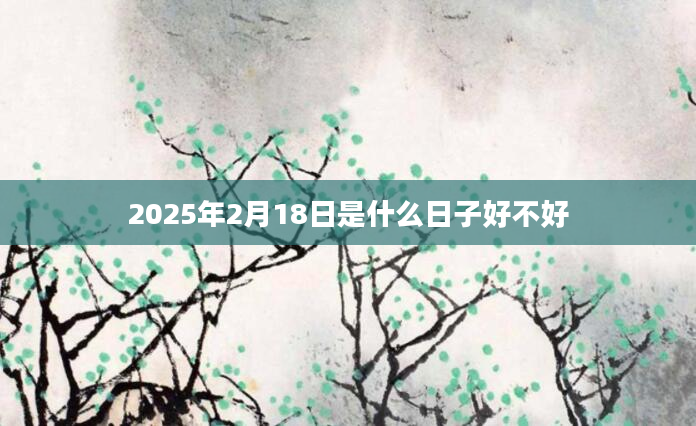 2025年2月18日是什么日子好不好