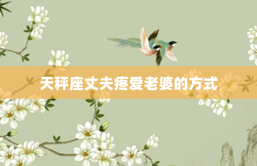 天秤座丈夫疼爱老婆的方式