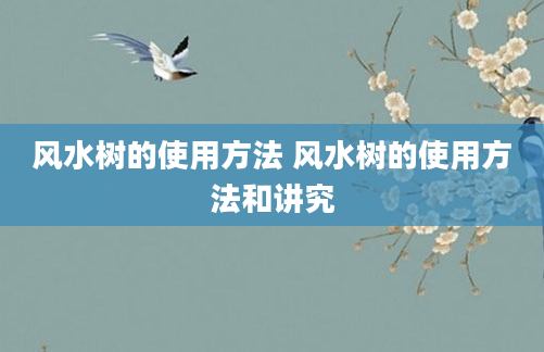 风水树的使用方法 风水树的使用方法和讲究