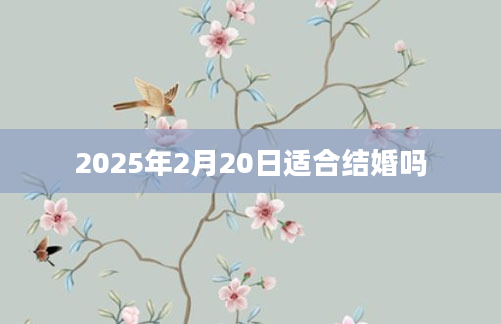 2025年2月20日适合结婚吗