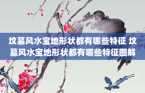 坟墓风水宝地形状都有哪些特征 坟墓风水宝地形状都有哪些特征图解